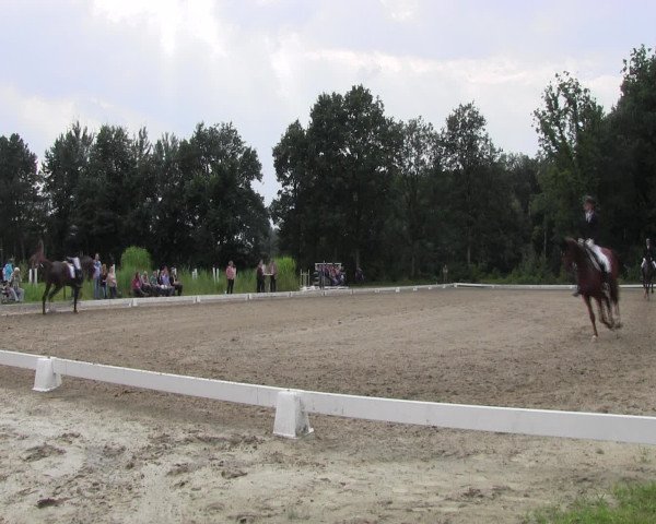 Reitturnier Olfen-Vinnum 2016