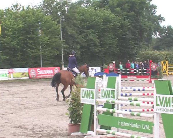 Reitturnier Tangstedt/Pinneberg 2016