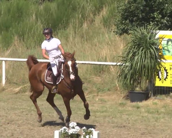 Reitturnier Idar-Oberstein 2016