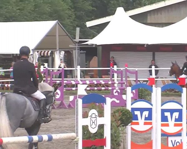 Reitturnier Tangstedt/Pinneberg 2016