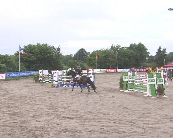 Reitturnier Tangstedt/Pinneberg 2016
