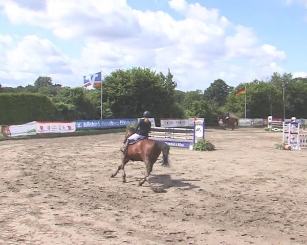 Reitturnier Tangstedt/Pinneberg 2016
