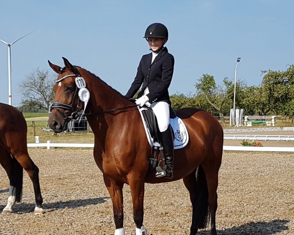 Zuchtstute Friedrichshof Amy II (Deutsches Reitpony, 2011, von Allbrighton) Zuchtstute Friedrichshof Amy II (Deutsches Reitpony, 2011, von Allbrighton)