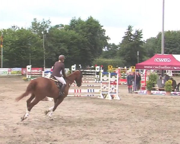Reitturnier Tangstedt/Pinneberg 2016