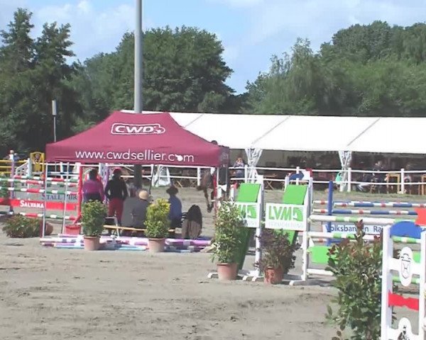 Reitturnier Tangstedt/Pinneberg 2016
