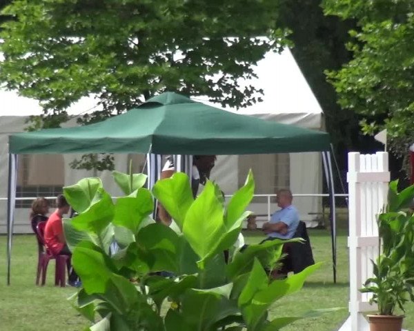 Reitturnier Zobbenitz 2016