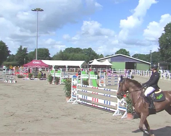 Reitturnier Tangstedt/Pinneberg 2016