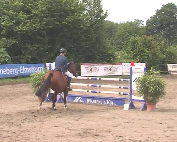 Reitturnier Tangstedt/Pinneberg 2016