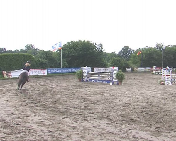 Reitturnier Tangstedt/Pinneberg 2016