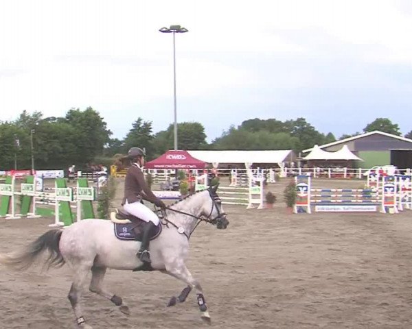 Reitturnier Tangstedt/Pinneberg 2016
