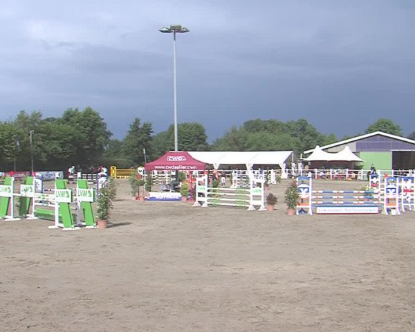 Reitturnier Tangstedt/Pinneberg 2016