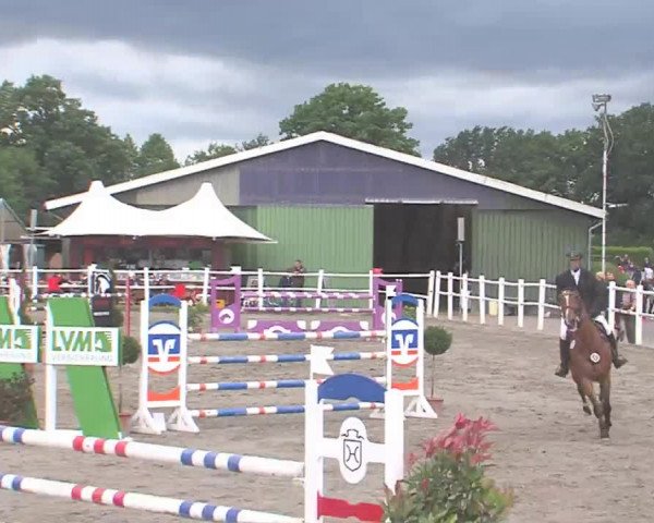 Reitturnier Tangstedt/Pinneberg 2016