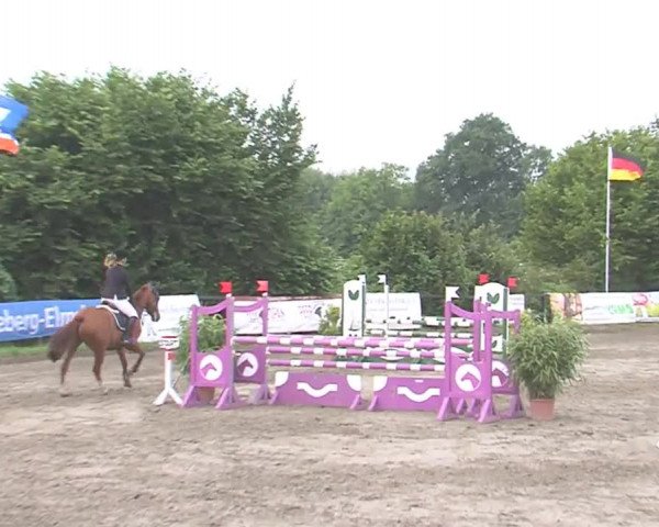 Reitturnier Tangstedt/Pinneberg 2016