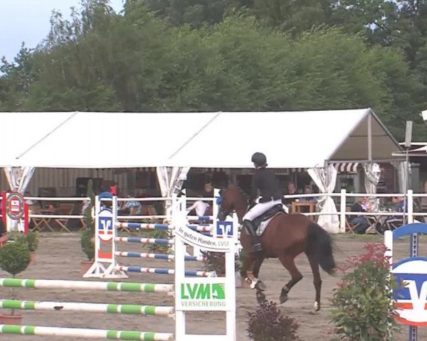 Reitturnier Tangstedt/Pinneberg 2016