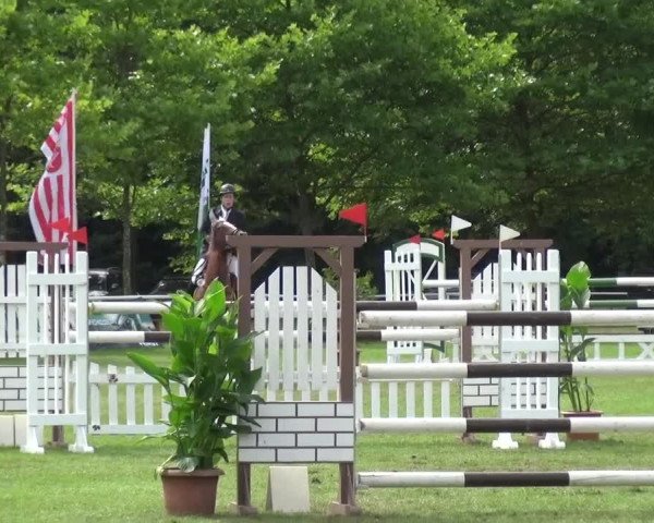 Reitturnier Zobbenitz 2016
