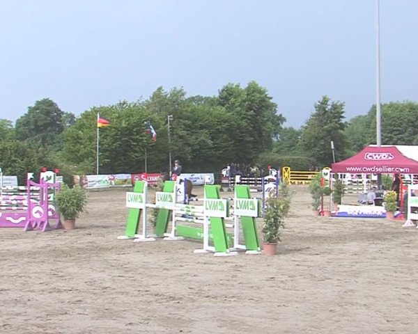 Reitturnier Tangstedt/Pinneberg 2016