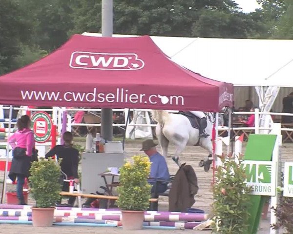 Reitturnier Tangstedt/Pinneberg 2016