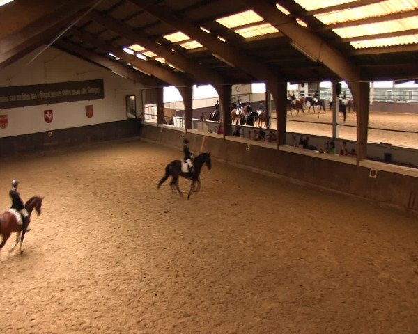 Reitturnier Olfen-Vinnum 2016