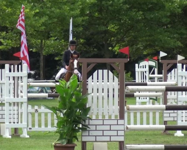 Reitturnier Zobbenitz 2016