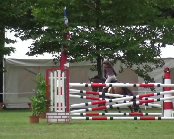 Reitturnier Zobbenitz 2016