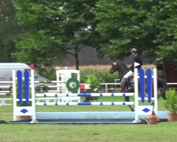 Reitturnier Zobbenitz 2016