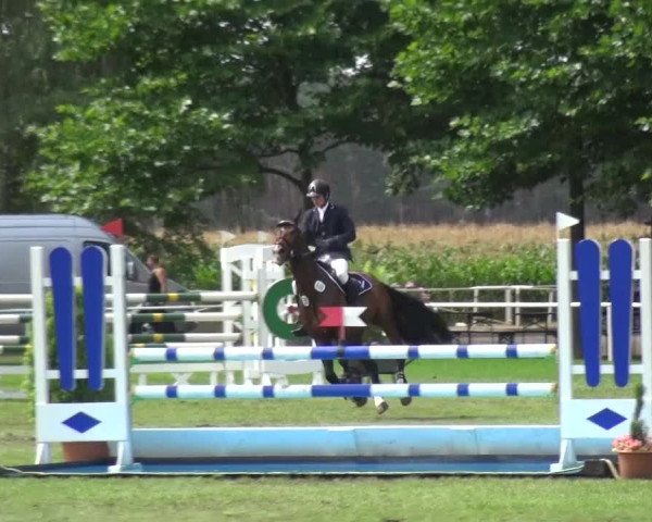 Reitturnier Zobbenitz 2016