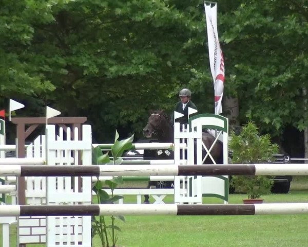 Reitturnier Zobbenitz 2016