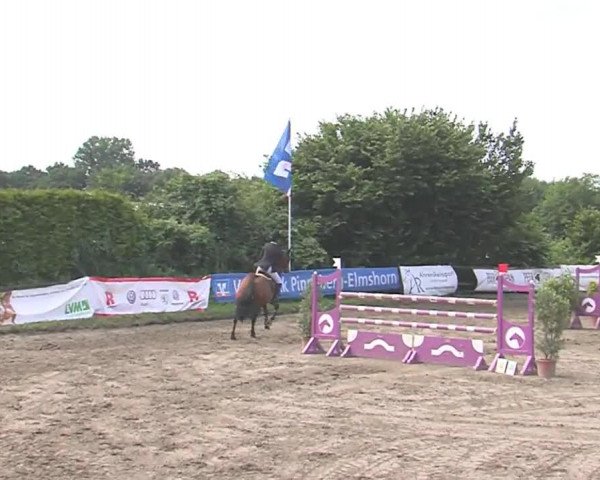 Reitturnier Tangstedt/Pinneberg 2016