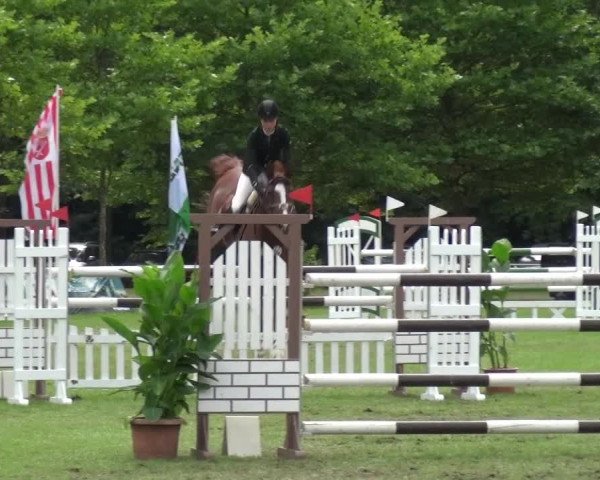 Reitturnier Zobbenitz 2016