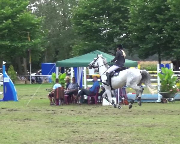 Reitturnier Zobbenitz 2016