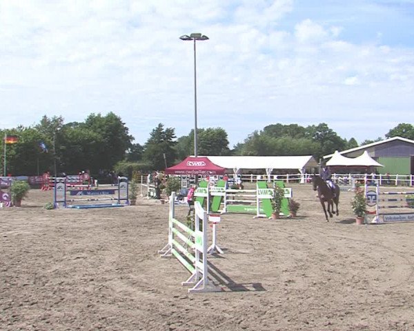 Reitturnier Tangstedt/Pinneberg 2016