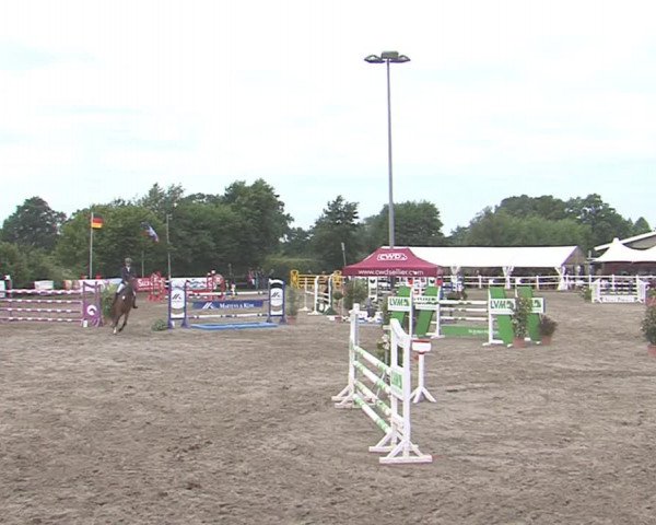 Reitturnier Tangstedt/Pinneberg 2016