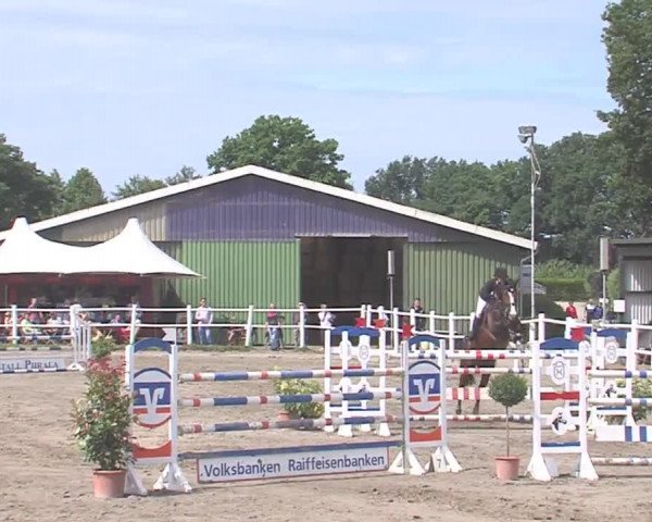Reitturnier Tangstedt/Pinneberg 2016