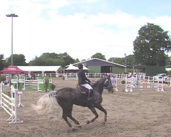 Reitturnier Tangstedt/Pinneberg 2016
