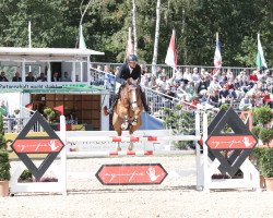 jumper Dubalou 3 (Oldenburg show jumper, 2014, from Diarado's Boy)