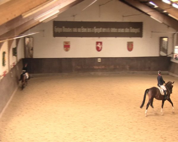 Reitturnier Olfen-Vinnum 2016
