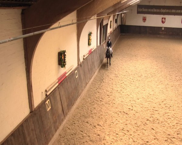 Reitturnier Olfen-Vinnum 2016