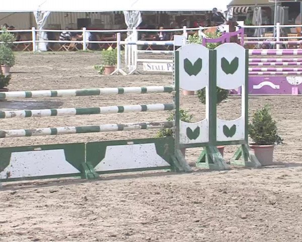 Reitturnier Tangstedt/Pinneberg 2016