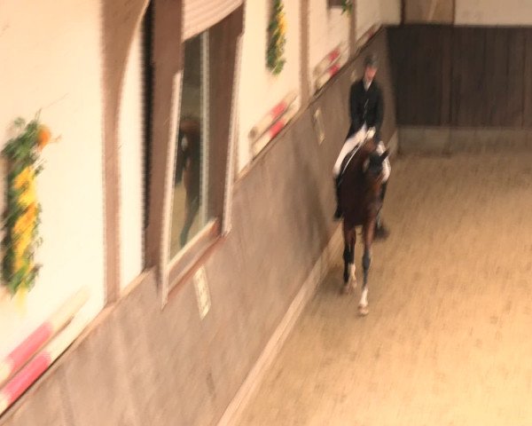 Reitturnier Olfen-Vinnum 2016