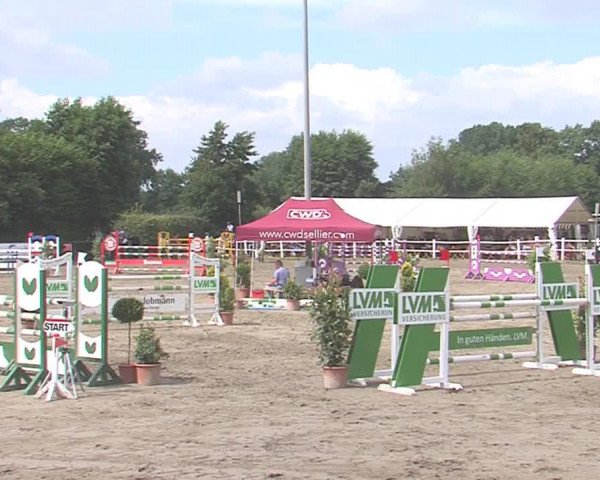 Reitturnier Tangstedt/Pinneberg 2016