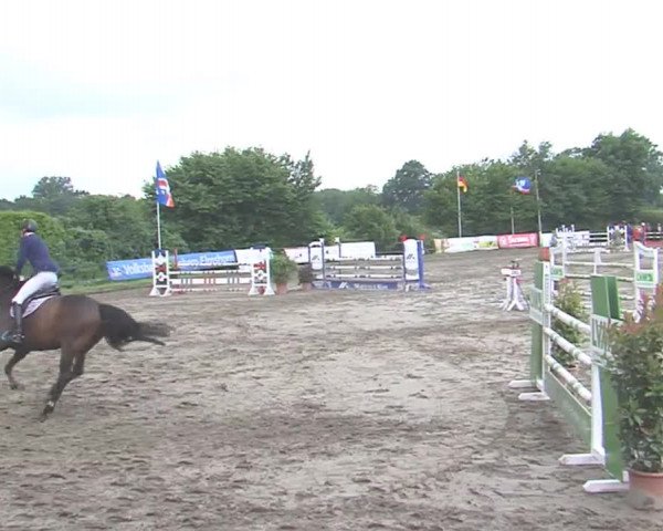 Reitturnier Tangstedt/Pinneberg 2016