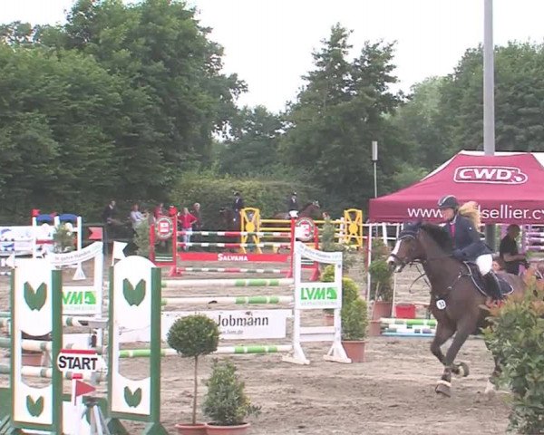 Reitturnier Tangstedt/Pinneberg 2016