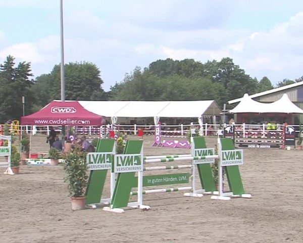 Reitturnier Tangstedt/Pinneberg 2016