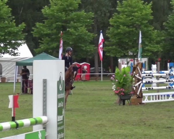 Reitturnier Zobbenitz 2016