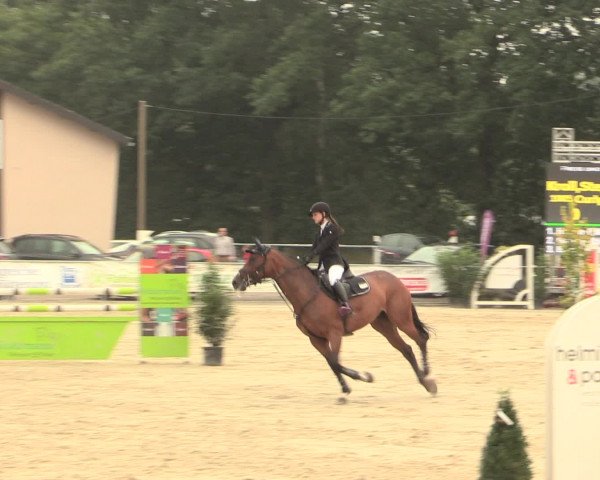 Reitturnier Olfen-Vinnum 2016