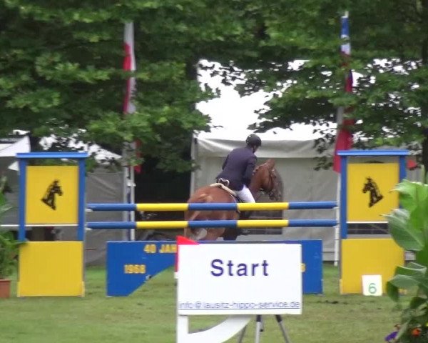 Reitturnier Zobbenitz 2016