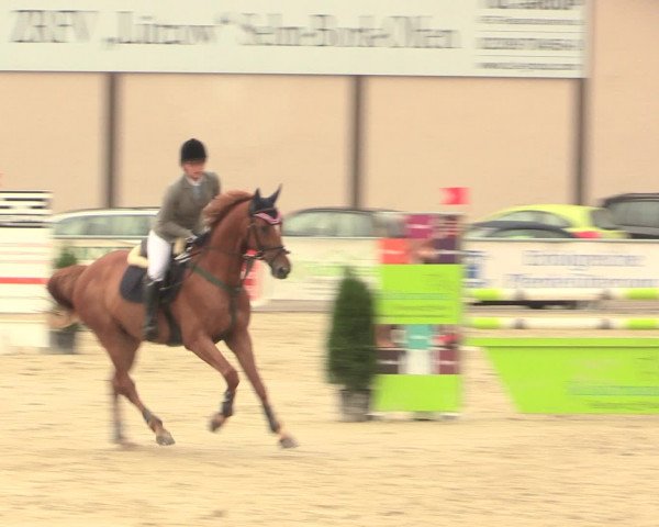 Reitturnier Olfen-Vinnum 2016
