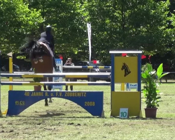 Reitturnier Zobbenitz 2016