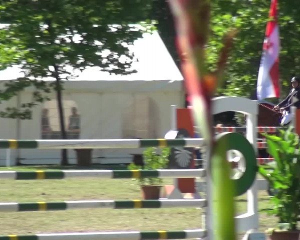Reitturnier Zobbenitz 2016