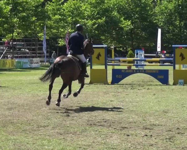 Reitturnier Zobbenitz 2016